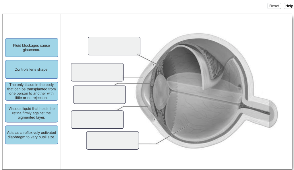Solved Reset Help Fluid blockages cause Controls