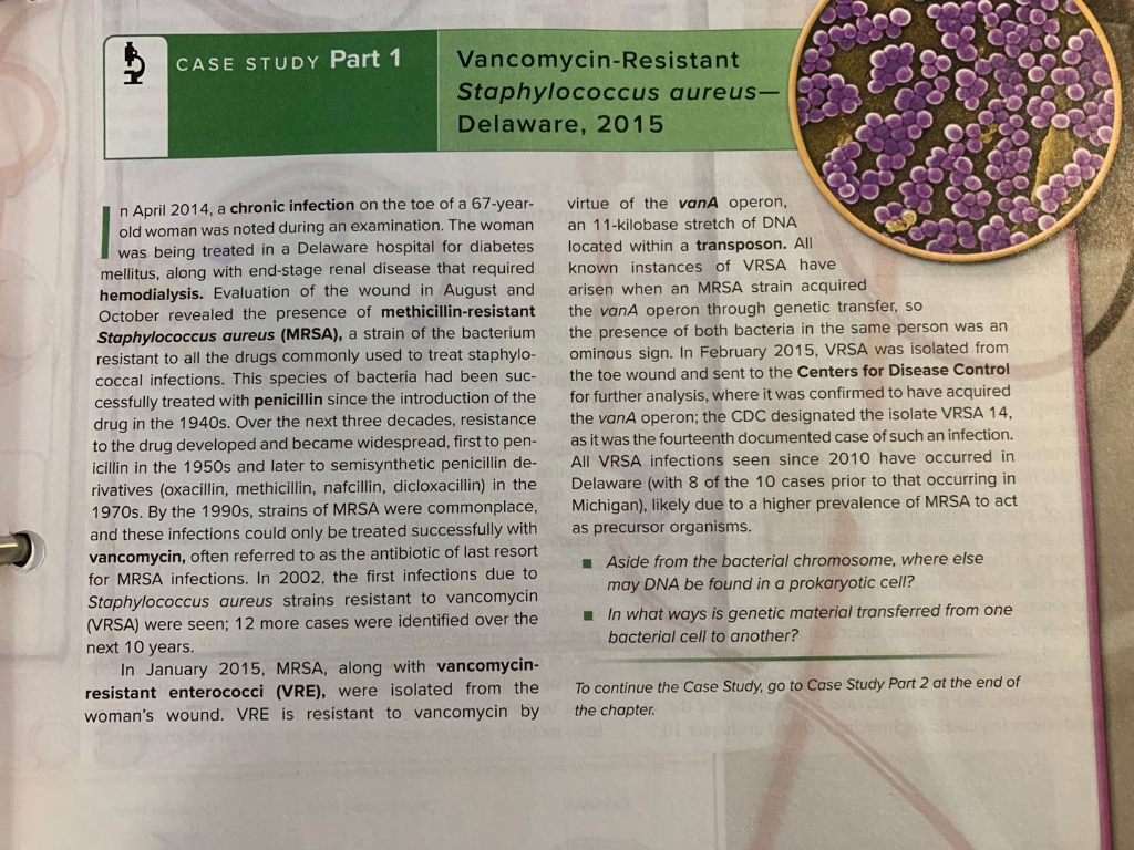 Staphylococcus aureus (incl. MRSA, VRSA)