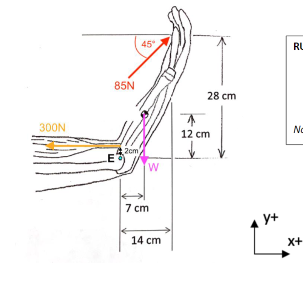 Solved Determine the net moment at the elbow (Point E, blue