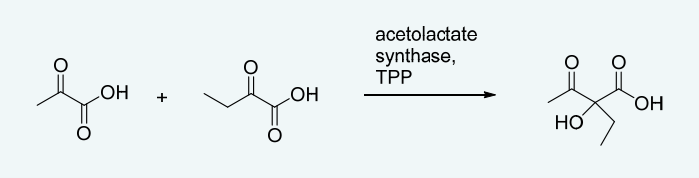 Solved Acetolactate synthase transfers the acyl group of | Chegg.com