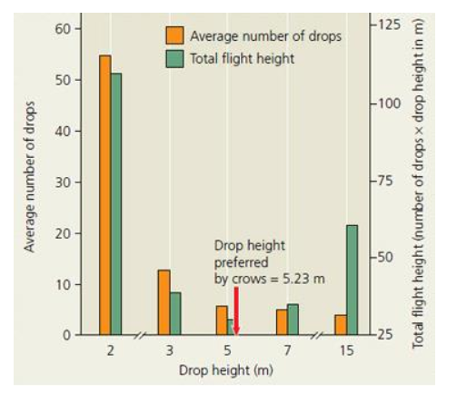 Solved Part D: Do crows display optimal foraging behavior? | Chegg.com