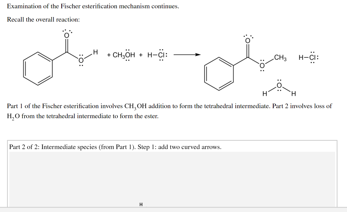 Solved Examination of the Fischer esterification mechanism | Chegg.com