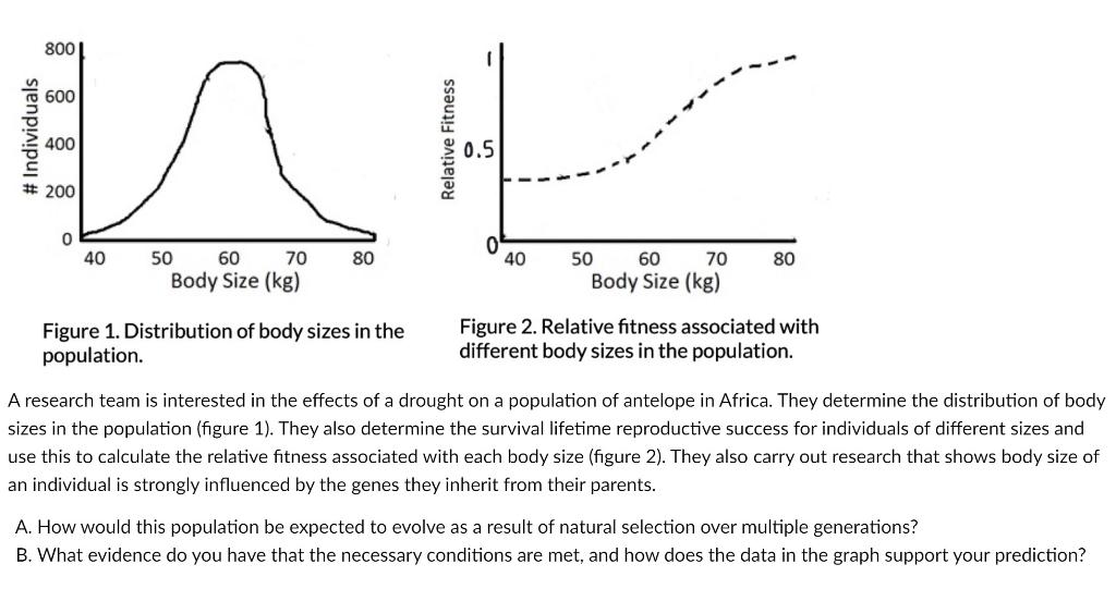 Solved Figure 1. Distribution of body sizes in the Figure | Chegg.com