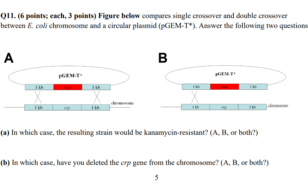 Solved Q11. (6 points; each, 3 points) Figure below compares | Chegg.com