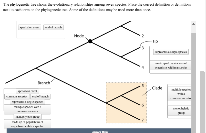 Solved The phylogenetic tree shows the evolutionary | Chegg.com