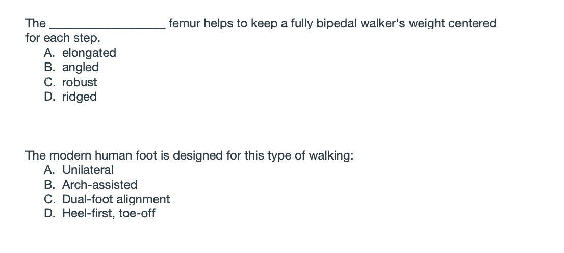 Solved Femur Helps To Keep A Fully Bipedal Walker S Weight Chegg Com