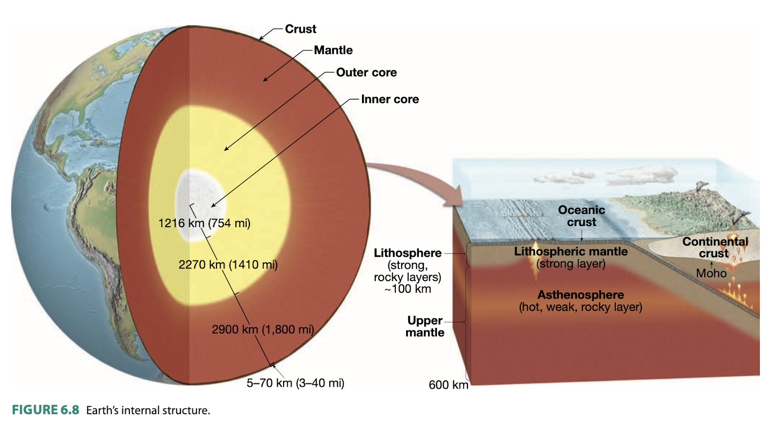 Solved Crust Mantle Outer Core Inner Core Oceanic Crust 1216 | Chegg.com