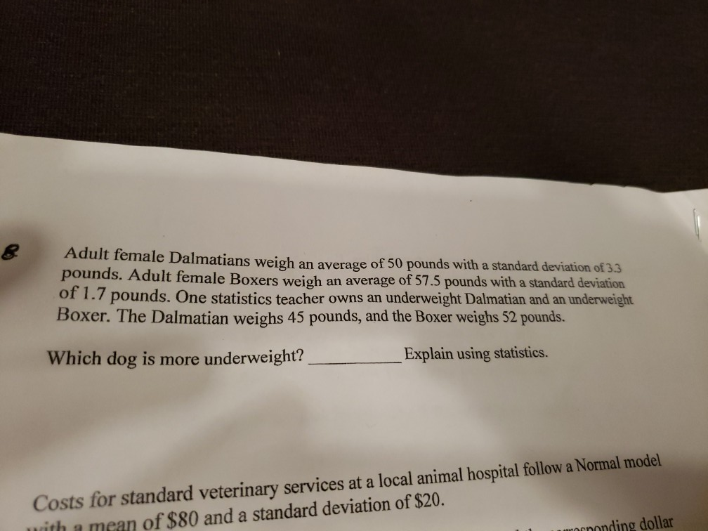 What Is The Average Weight Of A Female Dalmatian