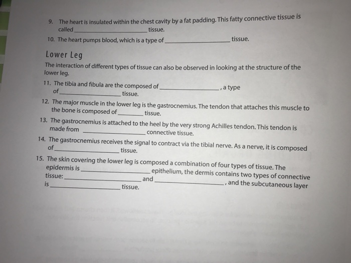 Solved WORKSHEET: LABORATORY 6 CONCEPT APPLICATION BUILDING | Chegg.com