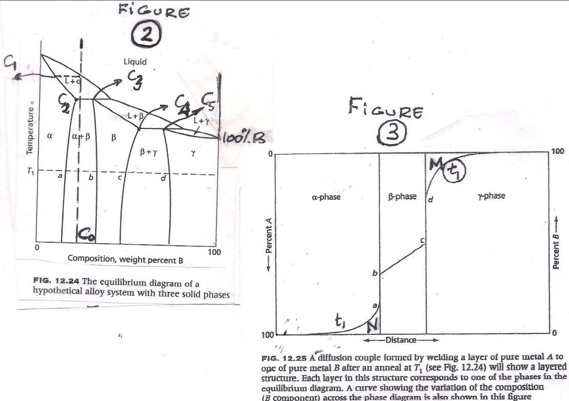 The phase diagram in Fig. 2 ﻿has a terminal phase α | Chegg.com