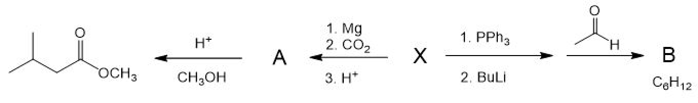 Solved Draw the structure of compounds A and B only. (10 | Chegg.com
