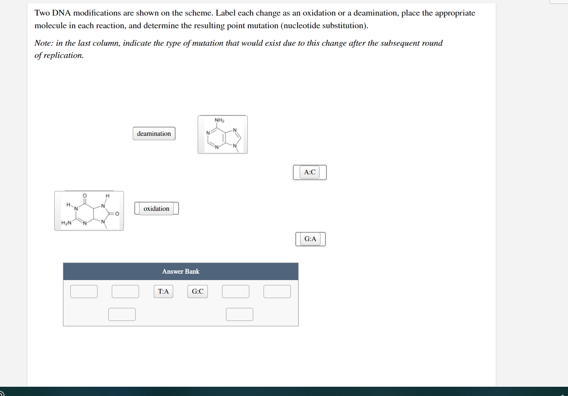 Solved Two DNA modifications are shown on the scheme. Label | Chegg.com