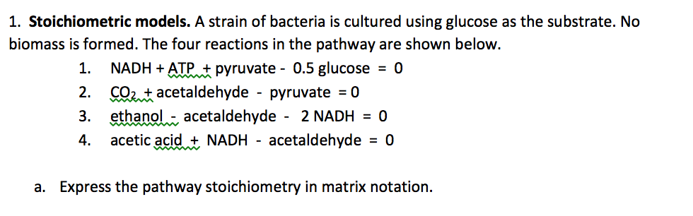 Solved 1. Stoichiometric models. A strain of bacteria is | Chegg.com