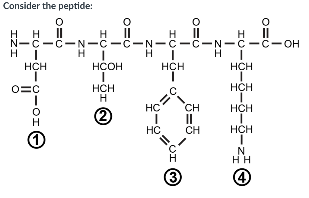 Solved Use The Following Pka Table 1) What Is The | Chegg.com