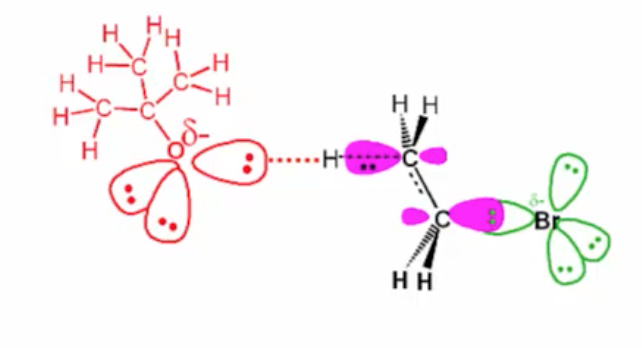 Solved View the animation and decide which mechanism is | Chegg.com