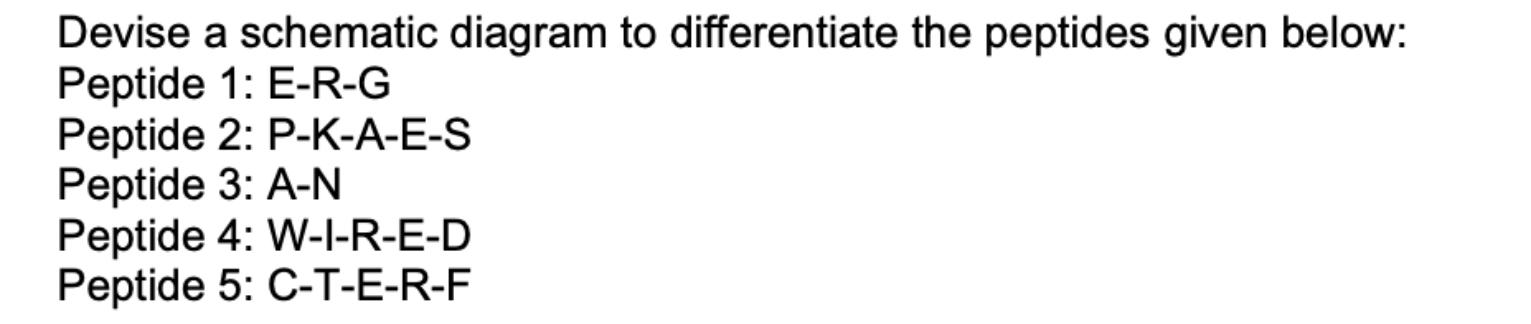 Given The Following Polypeptides: Polypeptide A: | Chegg.com