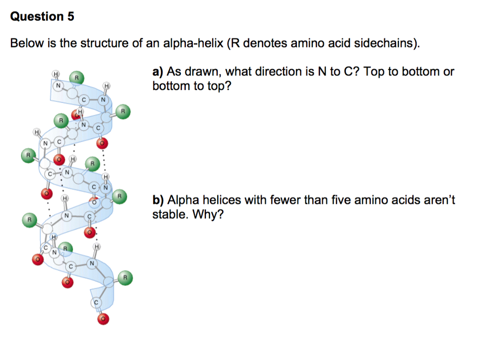 Solved Question 5 Below is the structure of an alphahelix