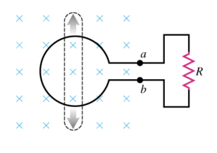 Solved A Flexible Circular Loop 6.80 Cm In Diameter Lies In | Chegg.com