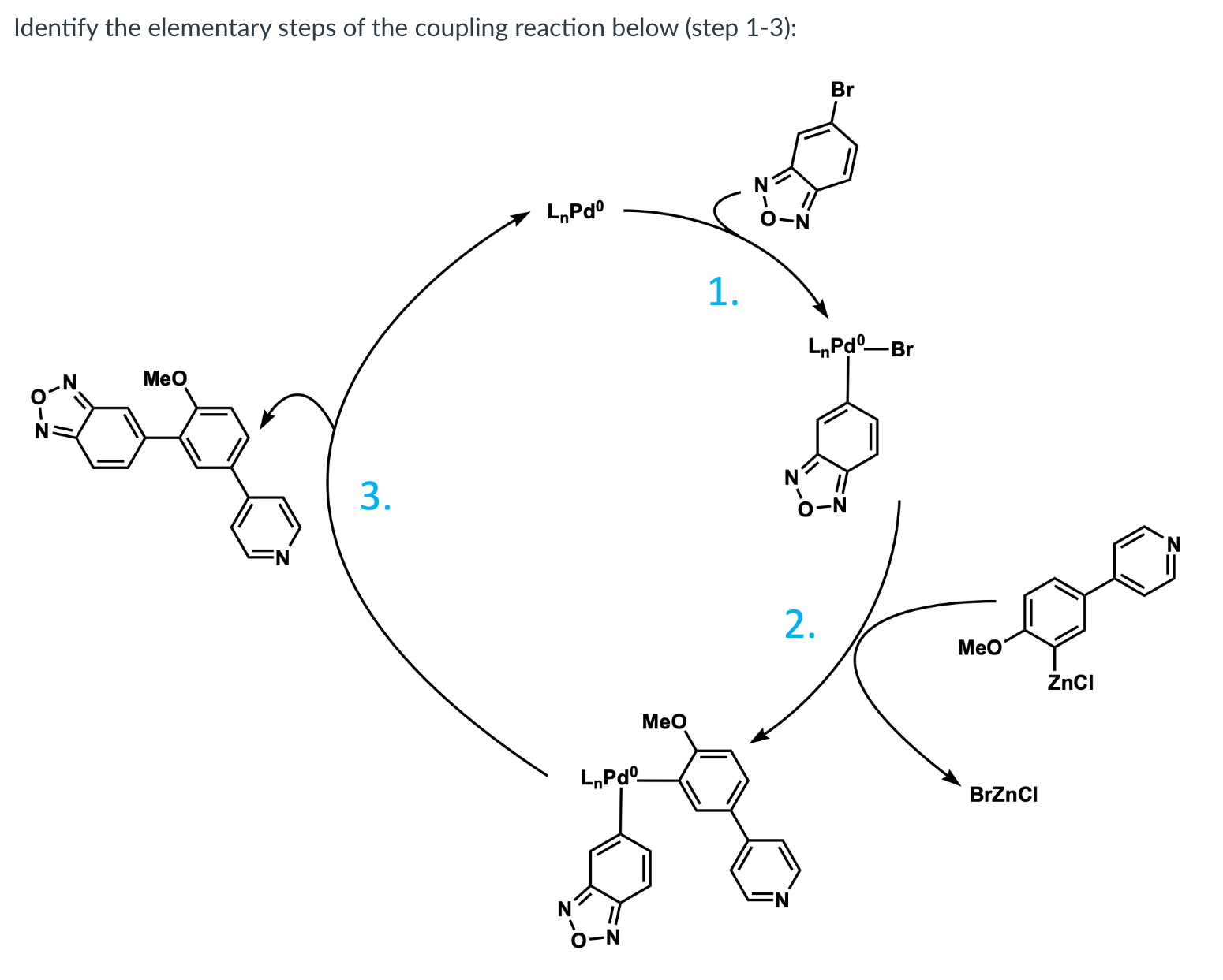 Solved Identify the elementary steps of the coupling