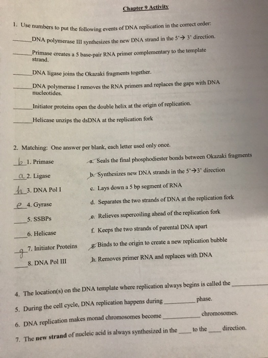 Solved to put the following events of DNA replication in the | Chegg.com