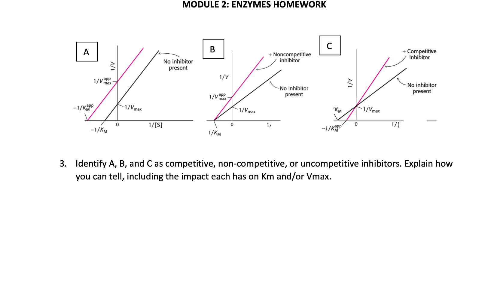 Solved MODULE 2: ENZYMES HOMEWORK 3. Identify A, B, and C as | Chegg.com