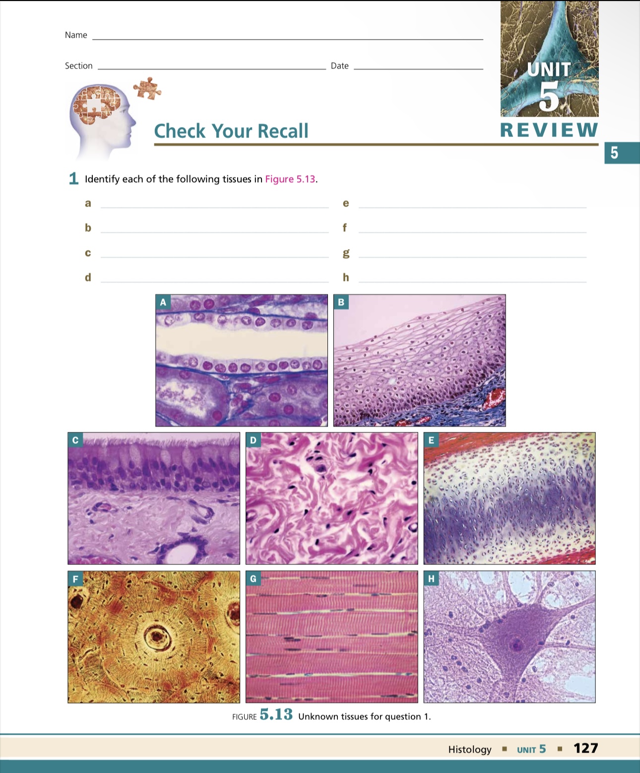 Solved Check Your Recall 1 Identify each of the following | Chegg.com