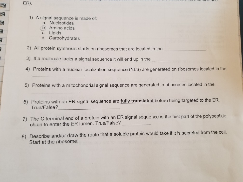 Solved ER) 1) A signal sequence is made of a. Nucleotides b