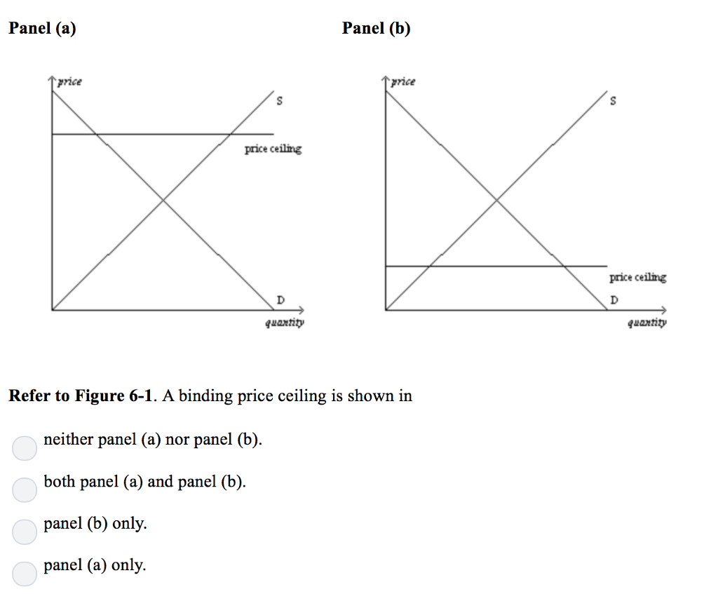 Binding Price Ceiling Definition - Price Control - Price Ceiling ...