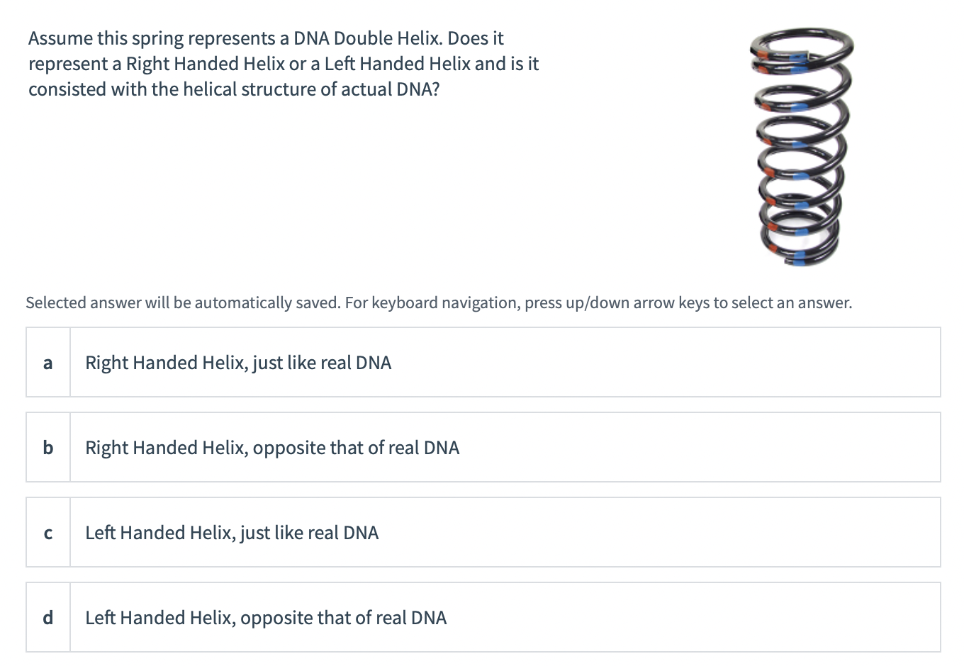 Solved Assume this spring represents a DNA Double Helix.