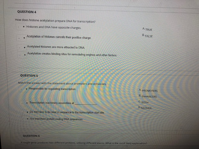 question 4 how does histone acetylation