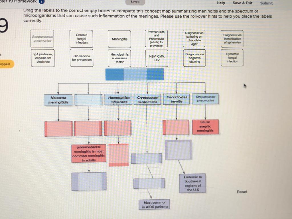 Solved ter 19 Homework Saved Help Save & Exit Submit Drag | Chegg.com