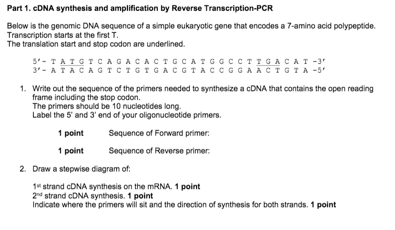 Solved Draw a stepwise diagram of:1st strand cDNA synthesis | Chegg.com