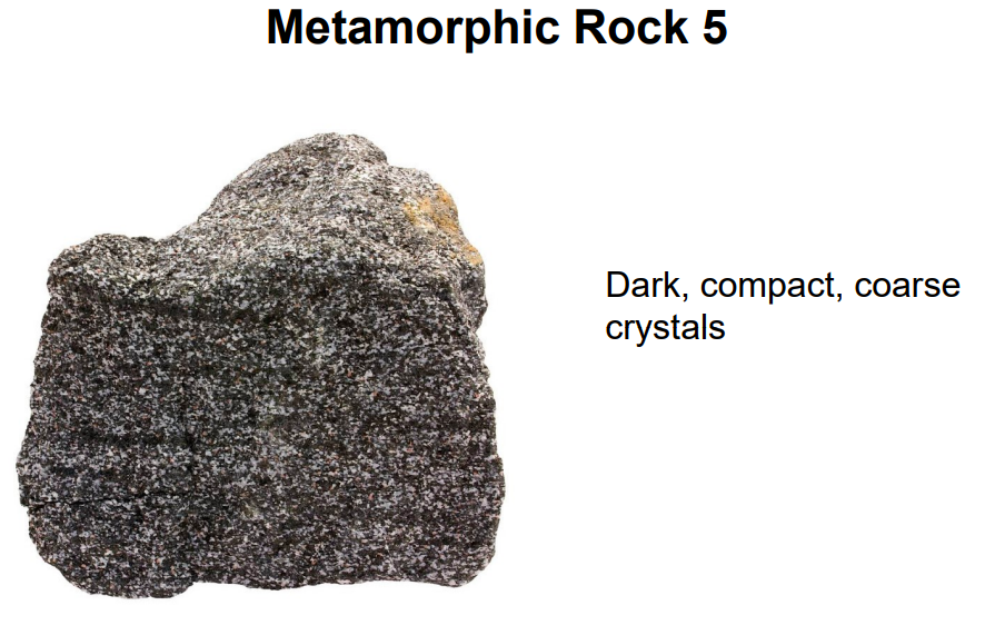 Metamorphic Rock 5
Dark, compact, coarse
crystals