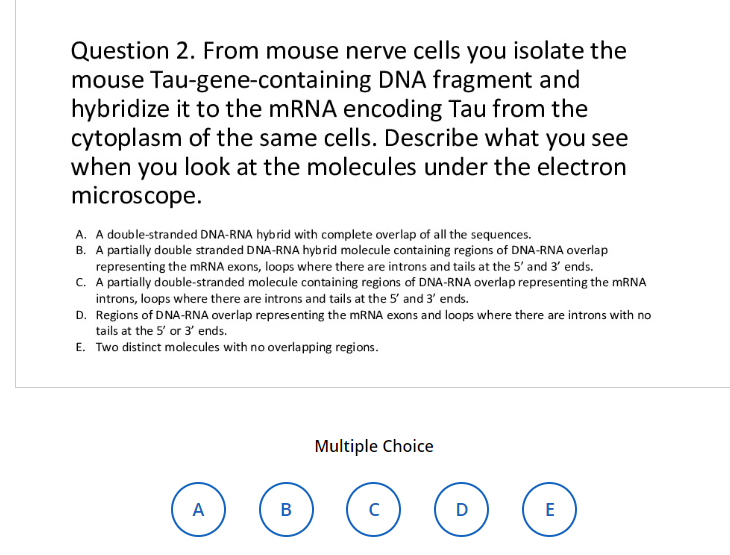Solved I had already posted this, but chegg said it was | Chegg.com