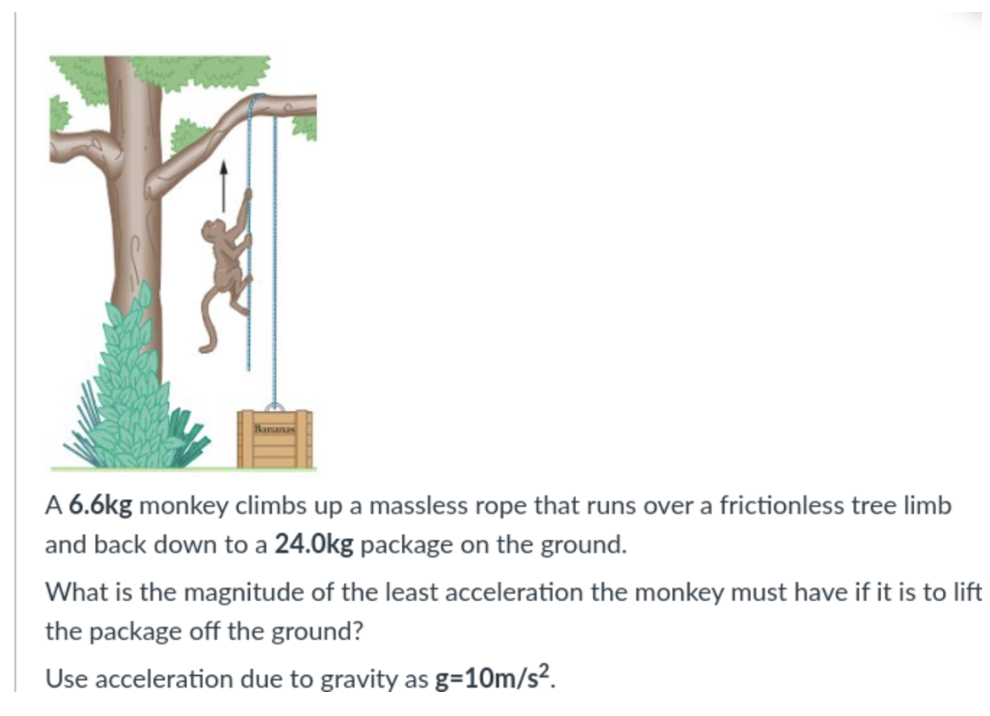 Solved A 6.6kg monkey climbs up a massless rope that runs | Chegg.com