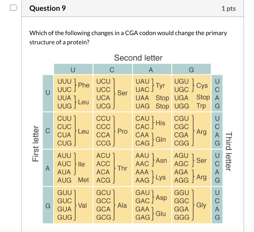 Solved Асс UUG AGA UUA AGG AGU GCA CGA CCA UCA ACA GUA GCC