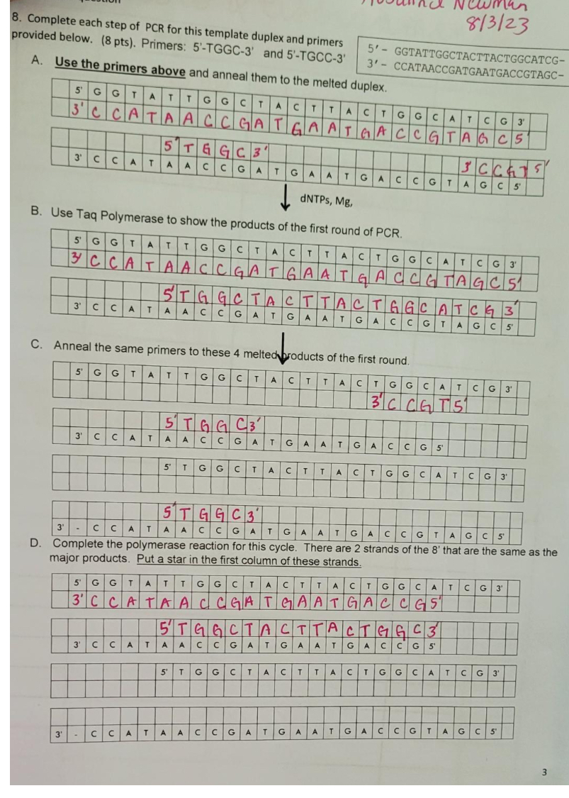 Solved Can You Please Explain How To Complete Sections A, B, | Chegg.com