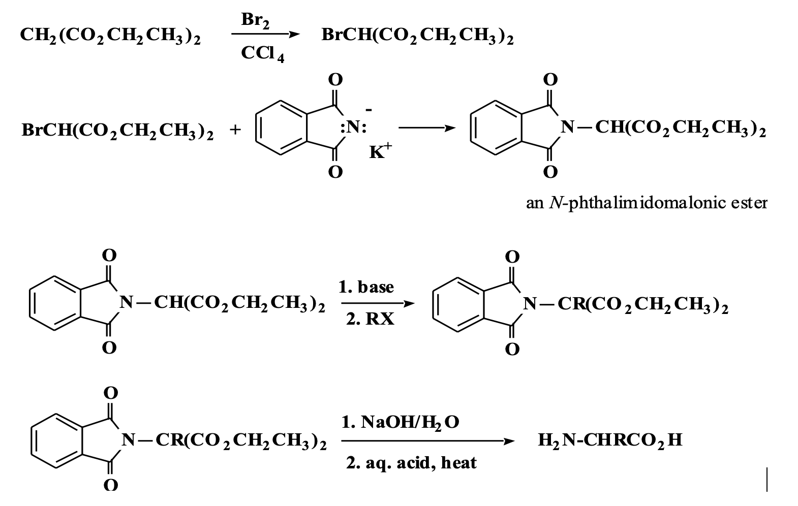 Solved Br2 CH,(COẠCH CHỦ) BrCH(CO2CH2CH3)2 BrCH(CO2CH2CH3)2 | Chegg.com