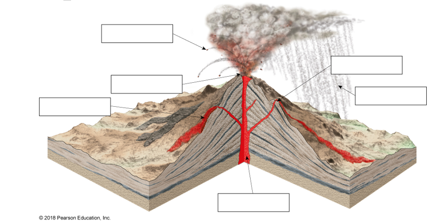 Solved How do continental crust and oceanic crust differ? | Chegg.com