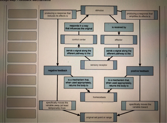 Solved Complete the concept map to explain how positive and