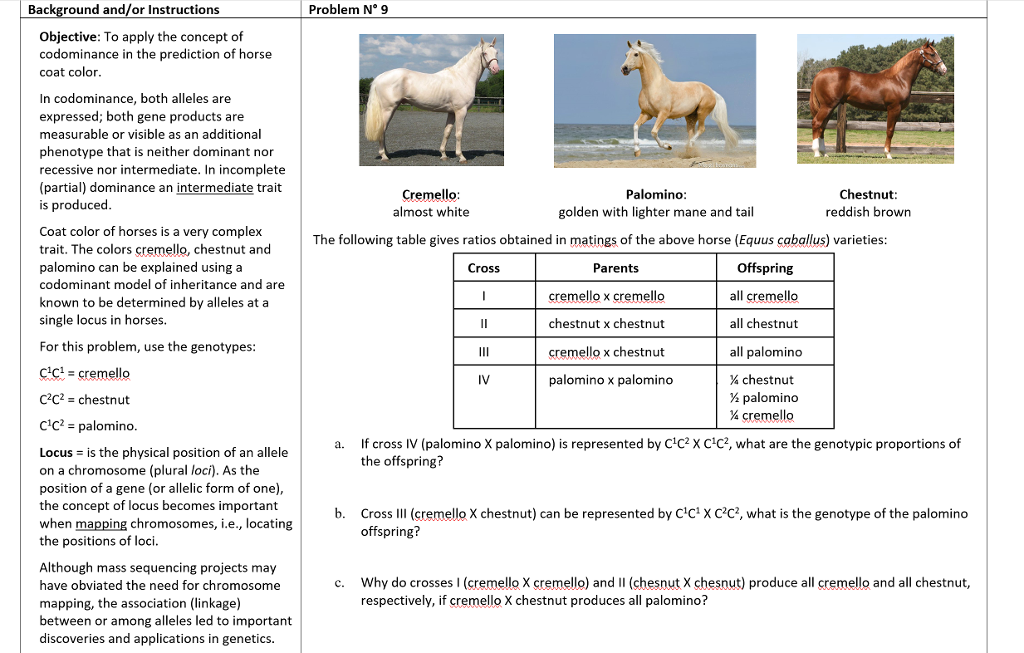 Solved Background And/or Instructions Problem No 9 | Chegg.com