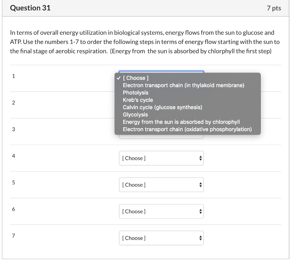 Solved Question 31 7 pts In terms of overall energy | Chegg.com