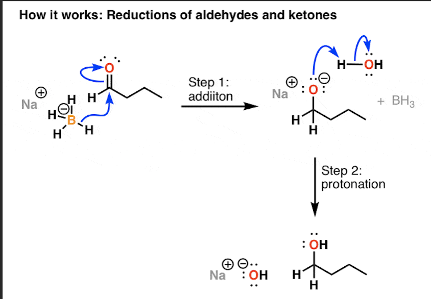 Solved Study the following mechanism of sodium borohydride | Chegg.com