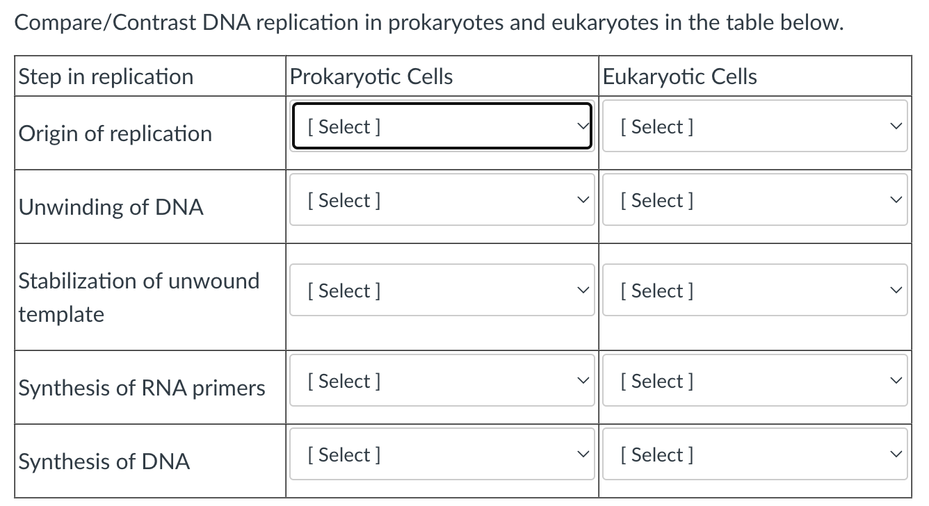 Solved Compare/Contrast DNA replication in prokaryotes and | Chegg.com