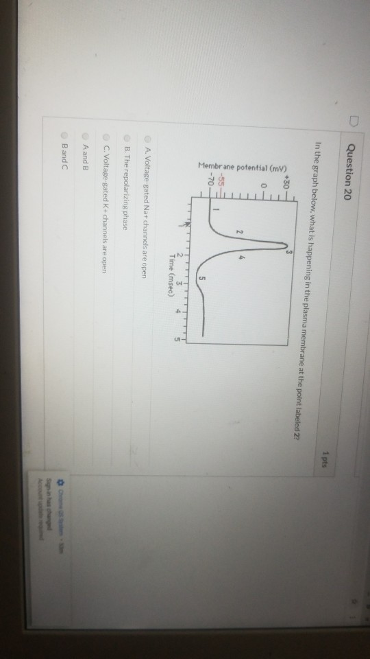 Solved • D Question 14 1 pts What is the osmolarity for 1 | Chegg.com
