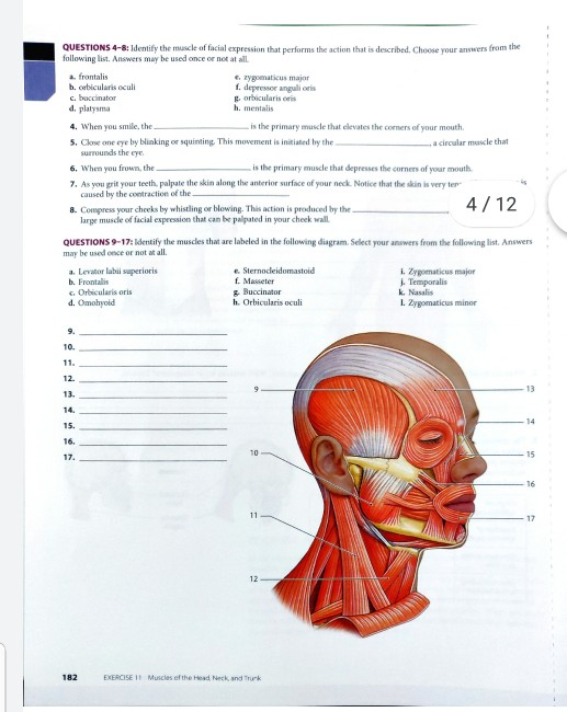 solved-questions-4-8-identify-the-muscle-of-facial-chegg