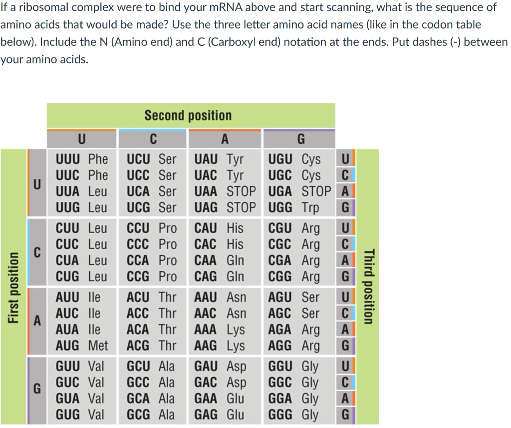 solved-the-following-dna-sequence-is-located-near-the-chegg