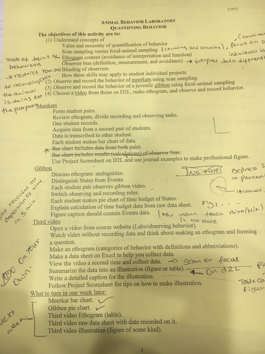 ANIMAL BEHAVIOR LABORATORY QUANTIFYING BEHAVIOR The | Chegg.com