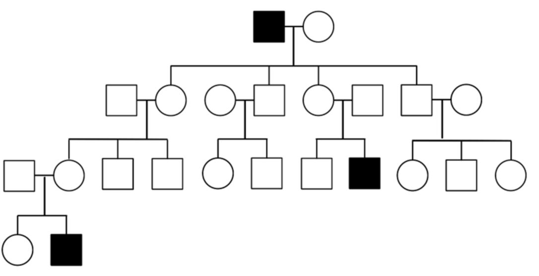 Solved Does this look : autosomal dominant autosomal | Chegg.com