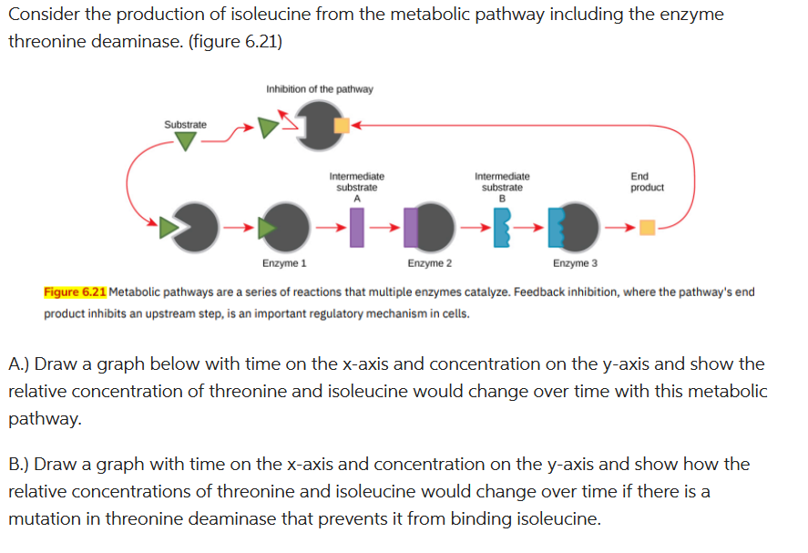 Solved Consider the production of isoleucine from the | Chegg.com